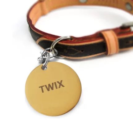 Customised Pet ID Tags (TWIX)