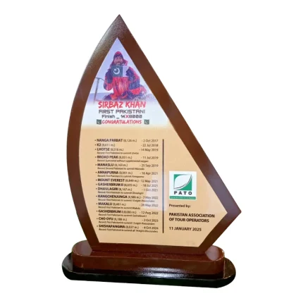 Customized Promotional Wooden Shield PATO